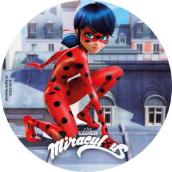 Kit Tarta Ladybug. n2