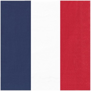 16 Serviettes France