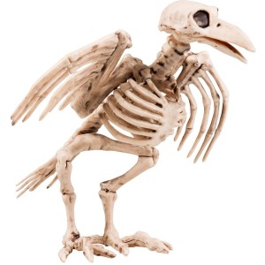 Esqueleto de cuervo - 18 cm