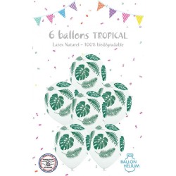 6 globos tropicales. n1