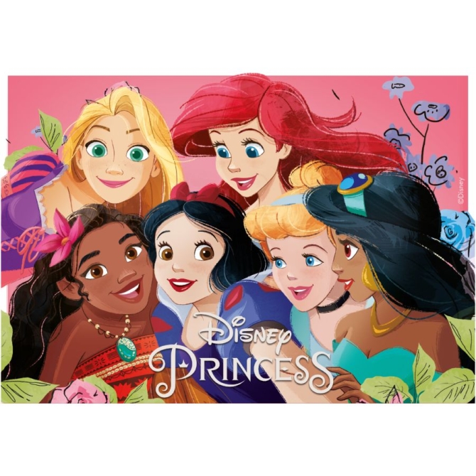 Plato Rectngulo Princesas Disney - Comestible 