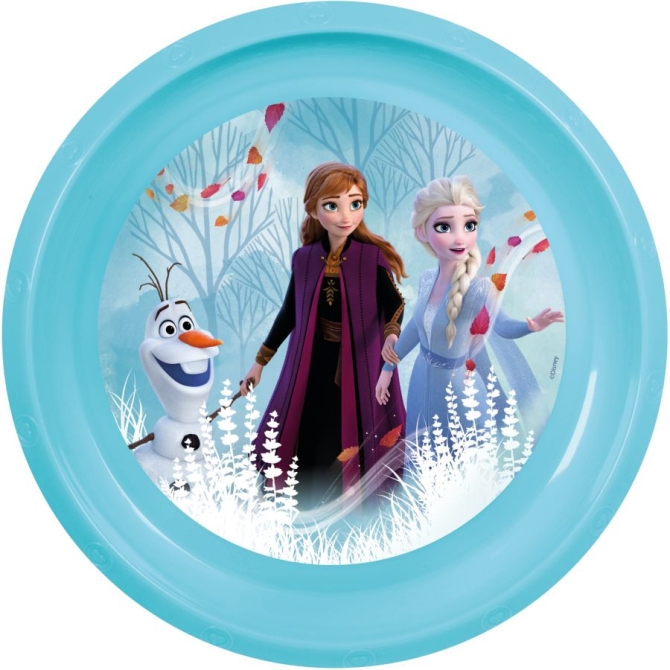 Placa Frozen II (21 cm) 