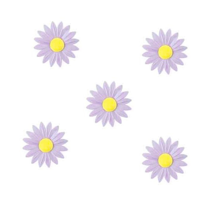 Pequeas Margaritas Lilas con Corazn Amarillo (4, 5 cm) - Sin Levadura 