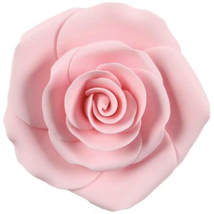 Maxi Rose (8 cm) - No comestible