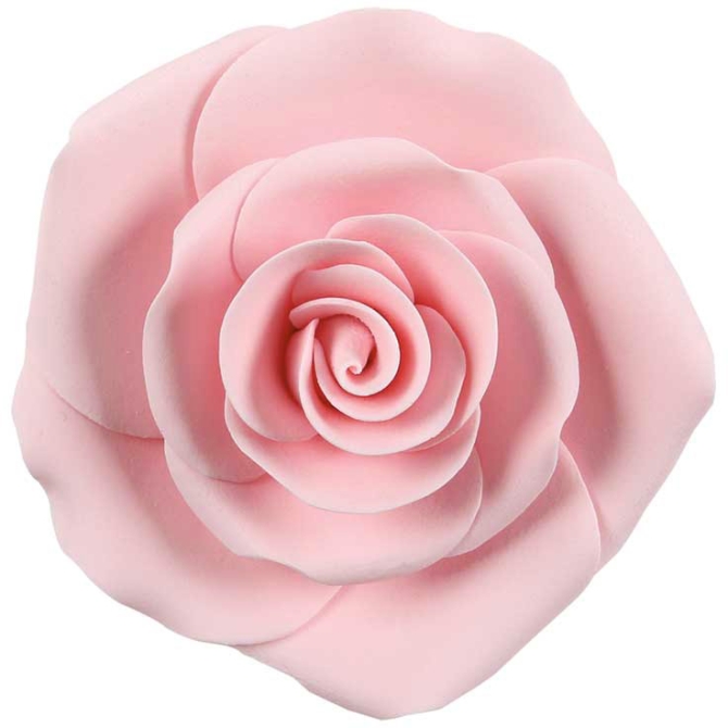 Maxi Rose (8 cm) - No comestible 