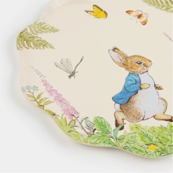 8 Platos de Peter Rabbit en el jardn. n1