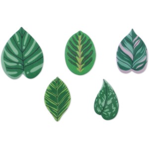 5 hojas sin levadura