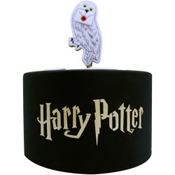 Plantilla para tartas de Harry Potter. n1