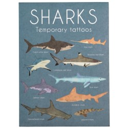 18 tatuajes de tiburones. n1