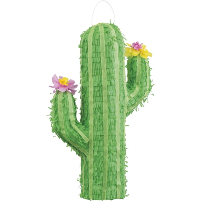 Piata cactus 3D 